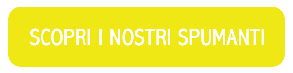 Scopri gli spumanti