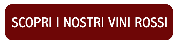 Scopri i vini rossi