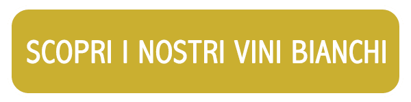 Scopri i vini bianchi