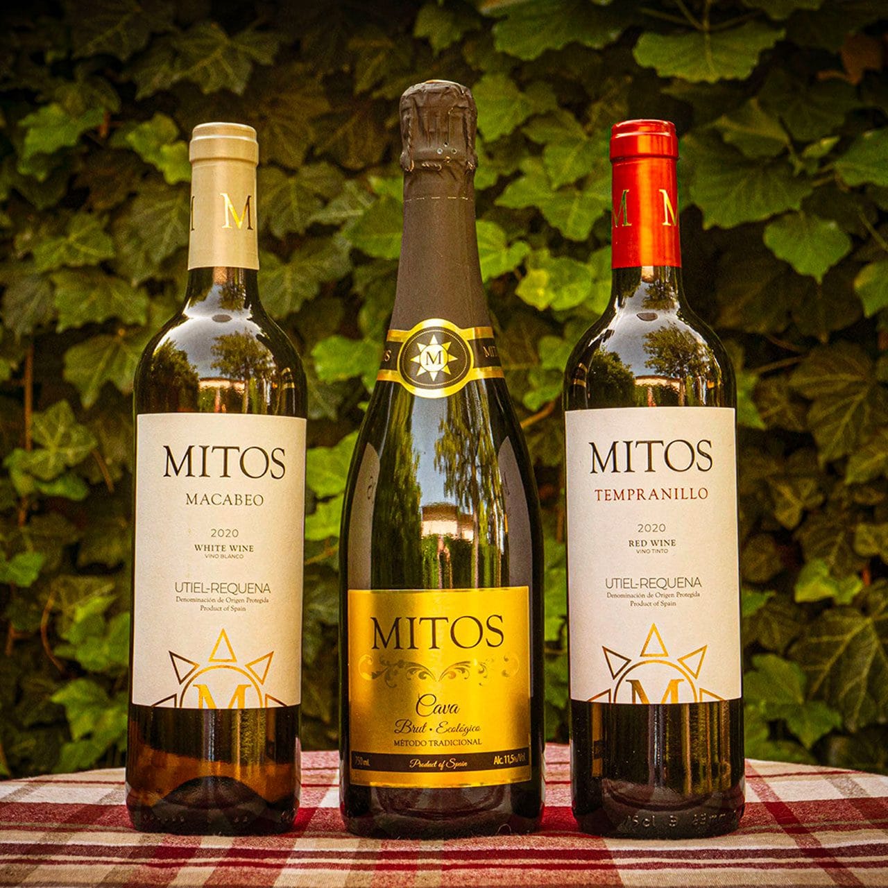 Macabéo, Cava e Tempranillo, nuovi vini spagnoli Delta del Vino