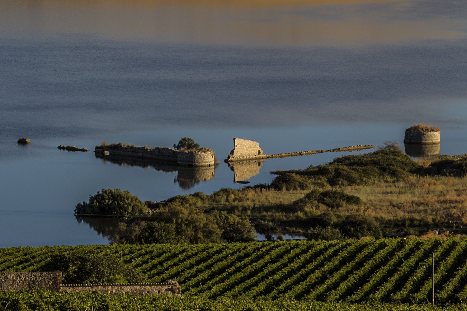 Le Regioni del vino: Sicilia