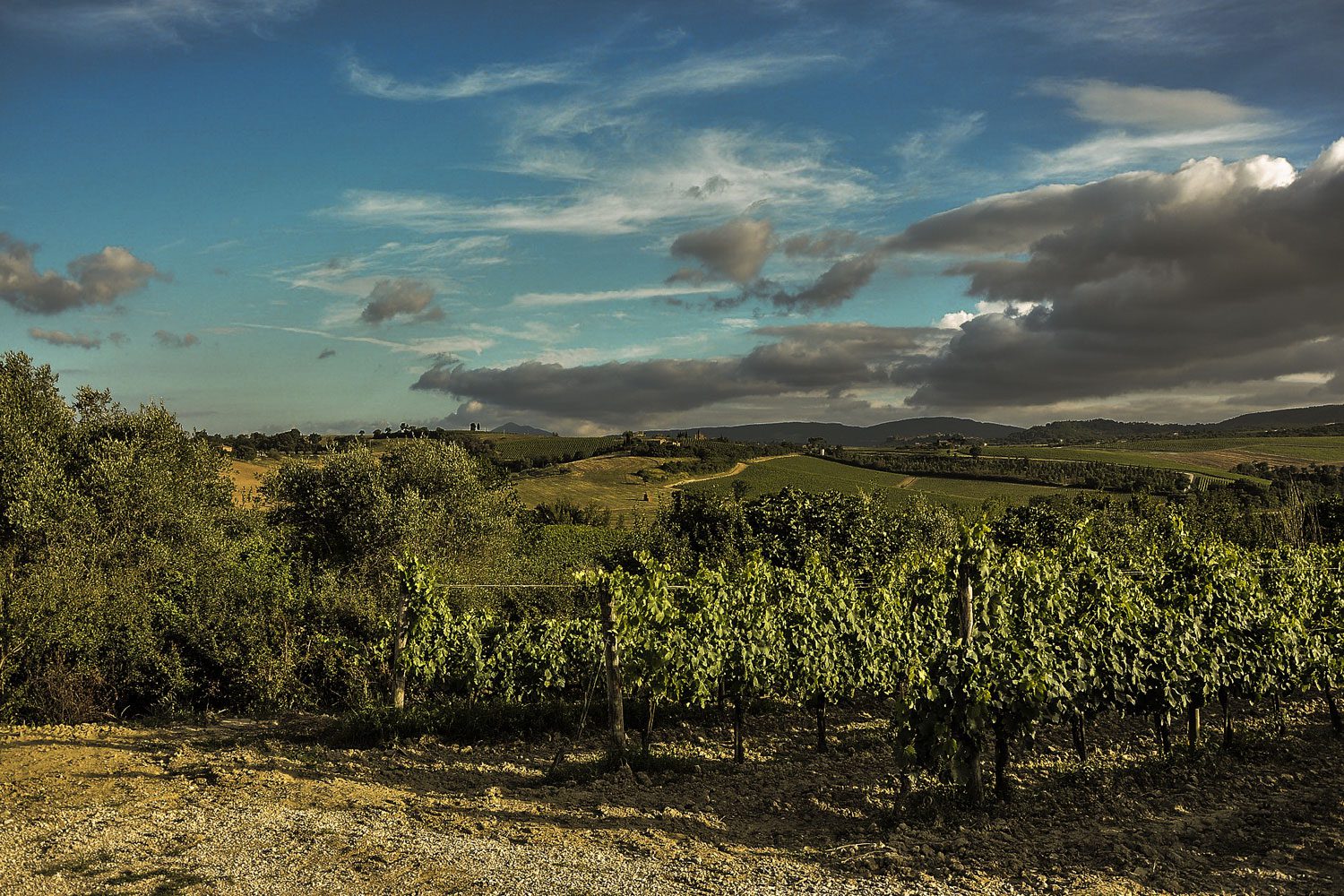 Le Regioni del vino: Toscana