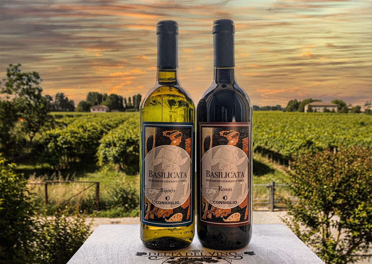 Delta del Vino propone vino bianco e rosso della Basilicata IGT