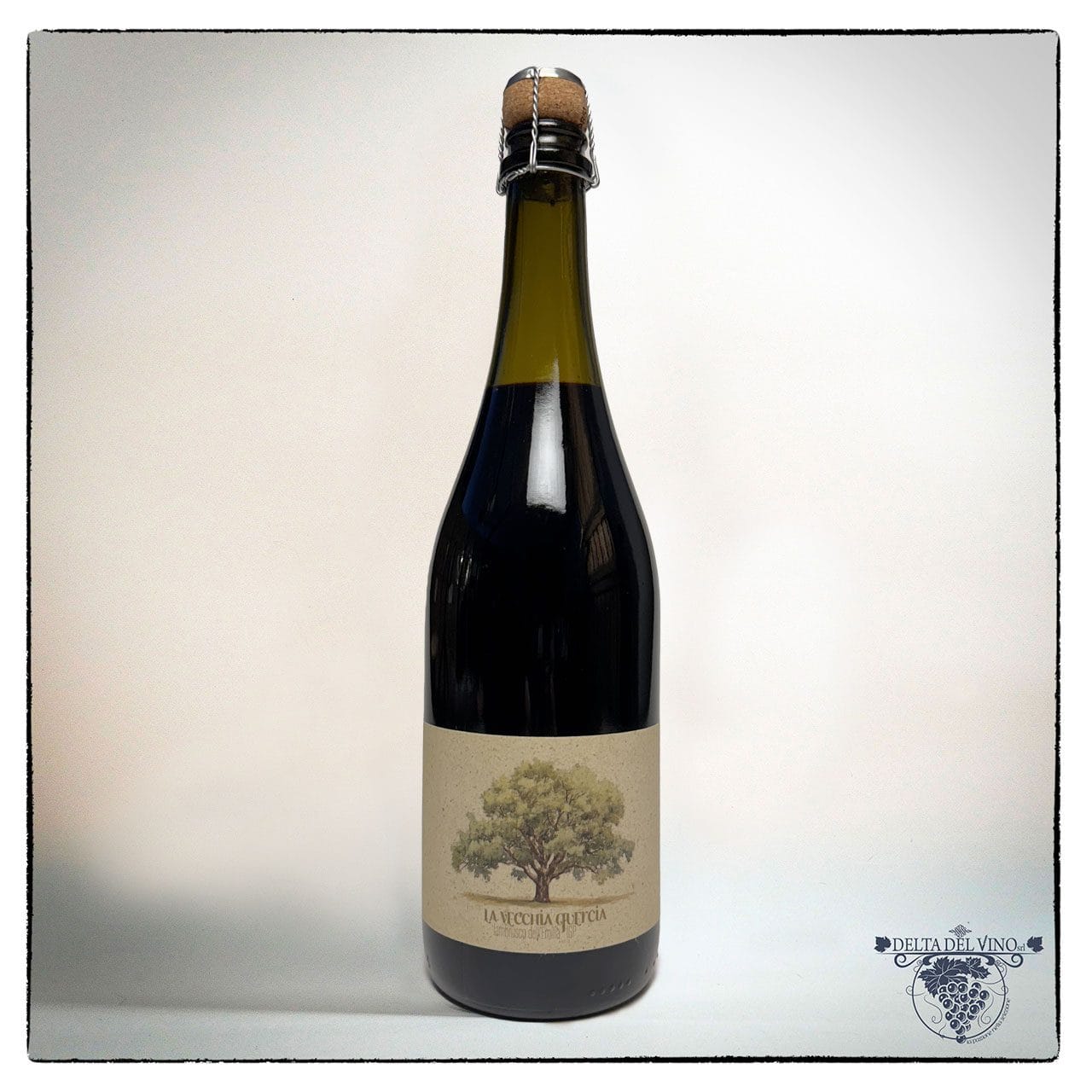 Lambrusco dell’Emilia Vecchia Quercia IGP