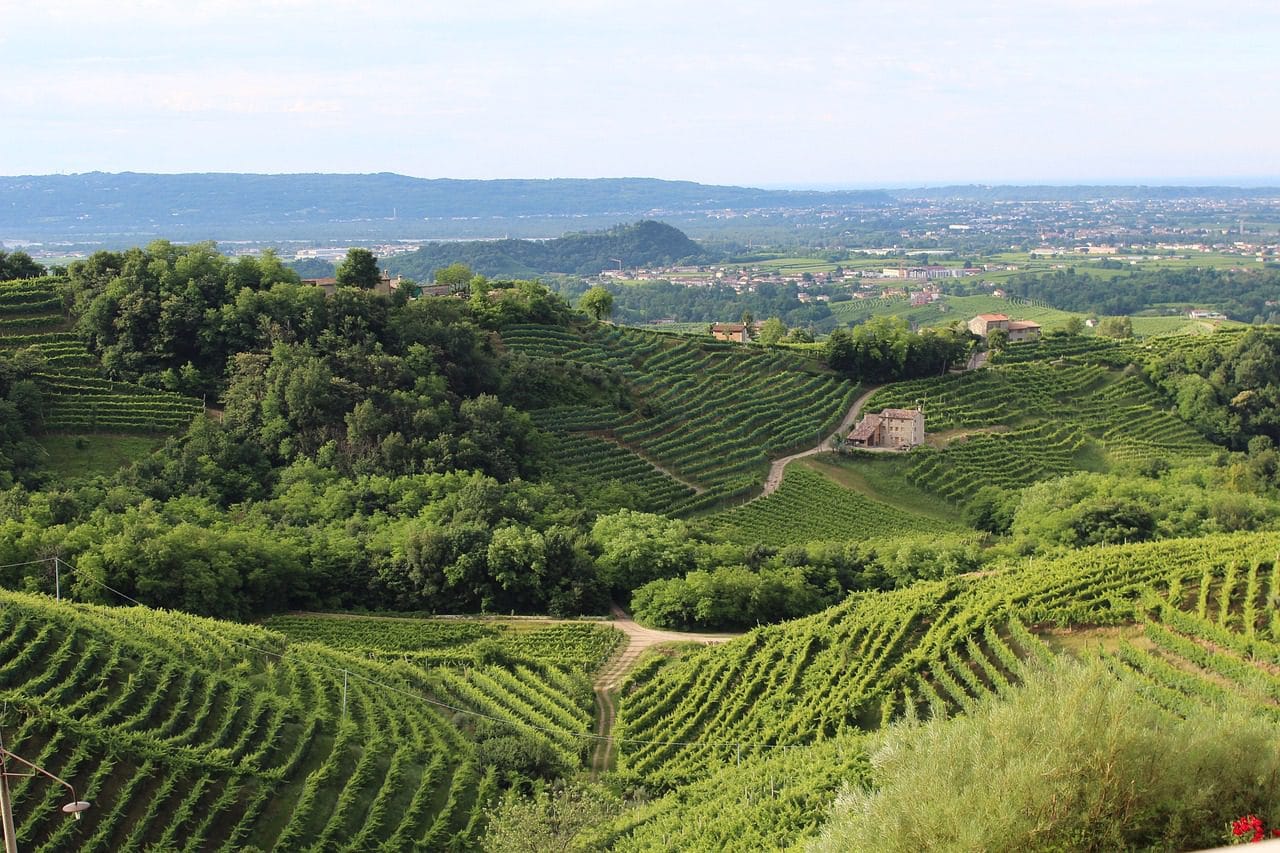 Le Regioni del vino: Veneto