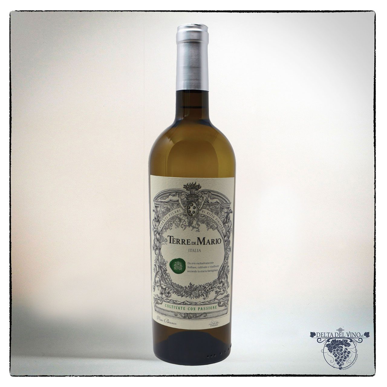 VINO BIANCO ITALIA TERRE DI MARIO